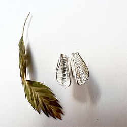 Örhängen Petite Seashell - Silver