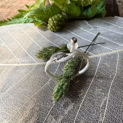 Ring Shady Moss - Silver