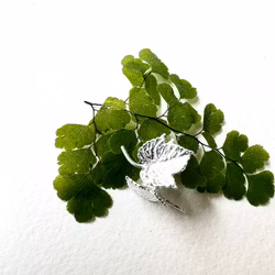 Örhängen Druva - Silver