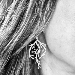 Örhängen Coral - Silver