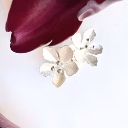 Earrings Vårstjärna - Silver