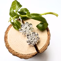 Earrings Ammi - Silver