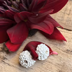Earrings Peaches n´Cream - Silver/Gold