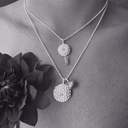 Necklace Tiny Treasure - Silver/Gold