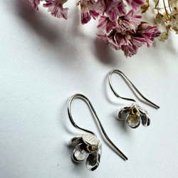 Örhängen Klockblomma - Silver/Guld
