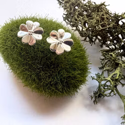 Örhängen Clover - Silver