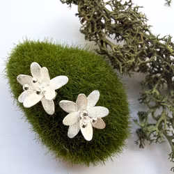 Örhängen Hoya - Silver