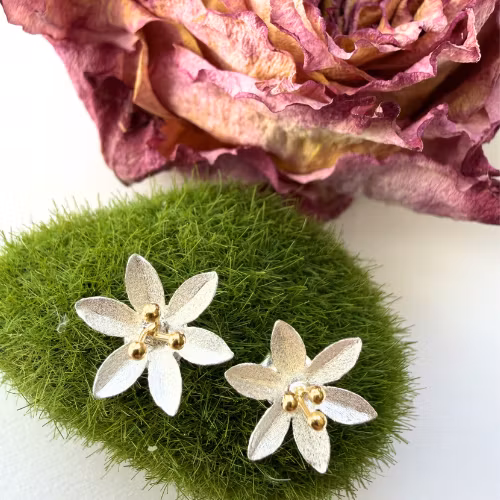 Örhängen Ornithogalum - Silver/Guld