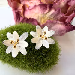 Örhängen Hoya - Silver/Guld