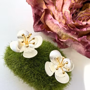 Örhängen Viol - Silver/Guld