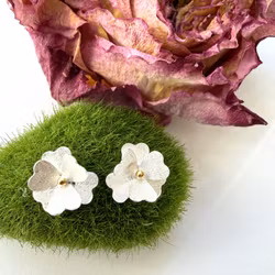 Örhänge Anthurium - Silver/Guld