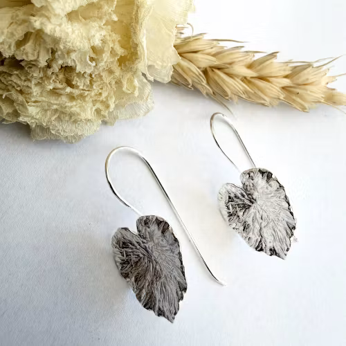 Örhängen Katalpa - Silver