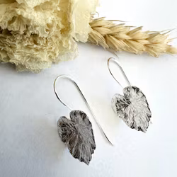 Örhängen Katalpa - Silver