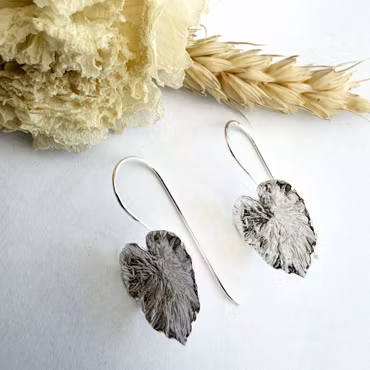Örhängen Katalpa - Silver