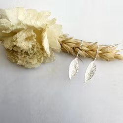 Örhängen Folium - Silver