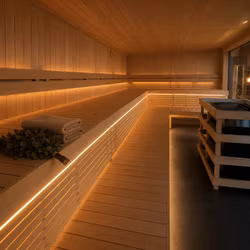 Professionell Bastu 7x3m – Panoramabastu för Spa & Offentlig Miljö