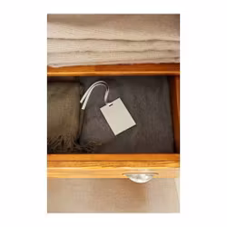 Doftkort, Lemongrass and Ginger