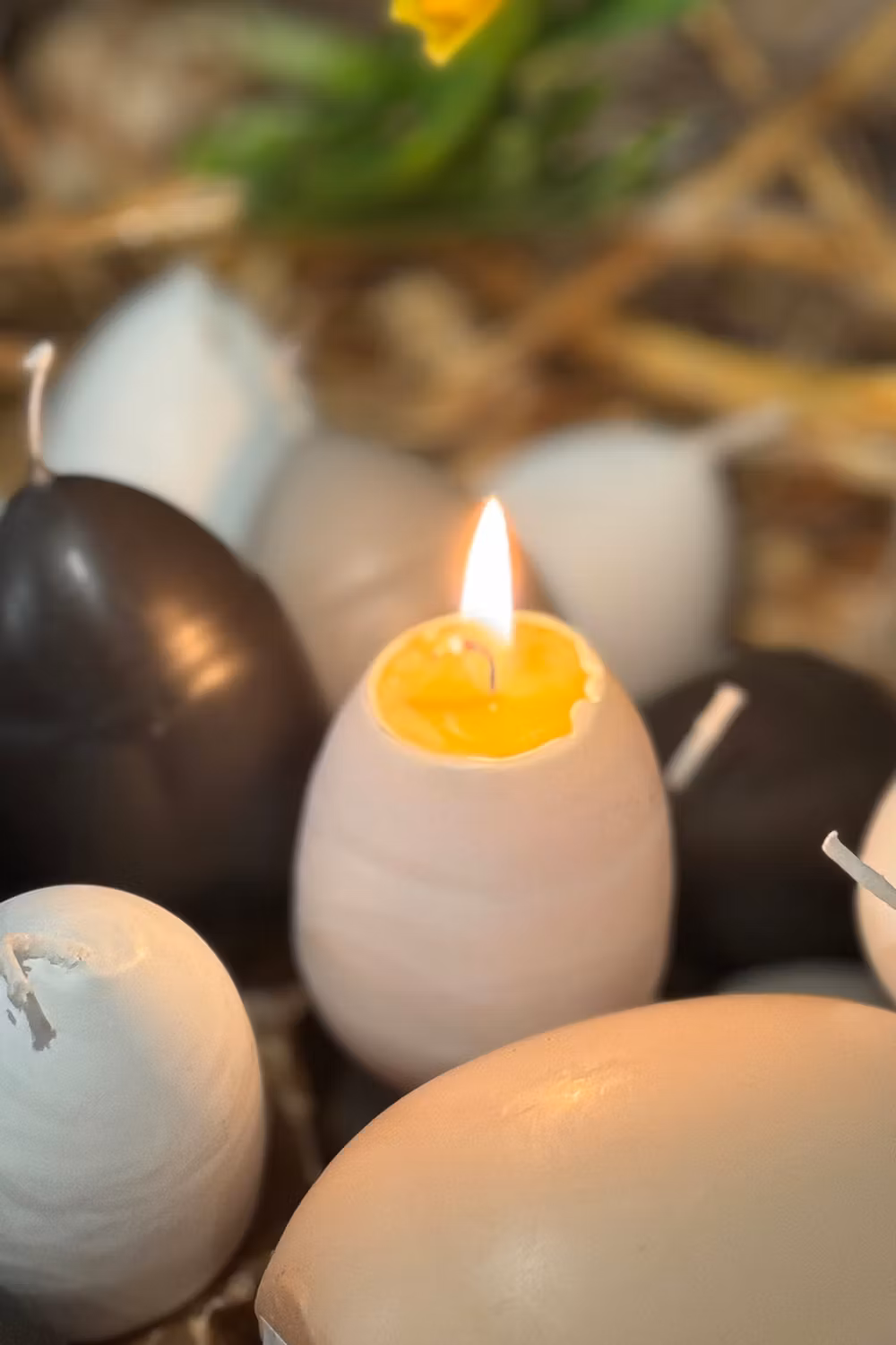 Äggljus, Vit med gula