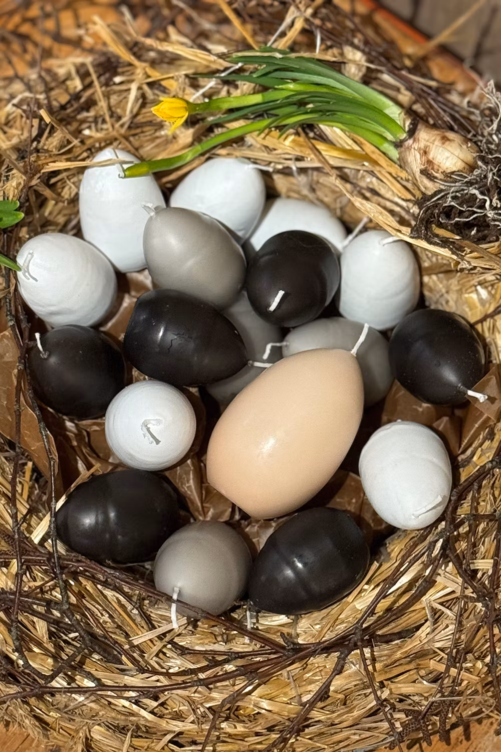 Äggljus, Vit med gula