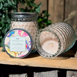 Doftljus Greenleaf - Grandiflora