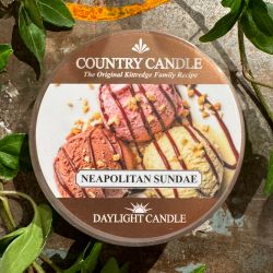 Neapolitan Sundae