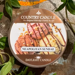 Neapolitan Sundae