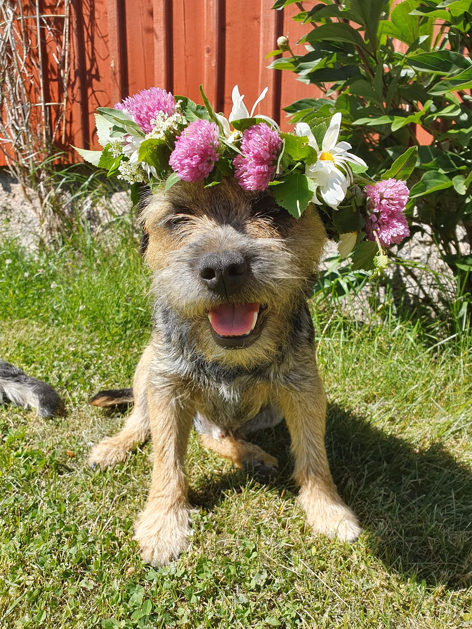 Genomförd Bind din egen midsommarkrans!