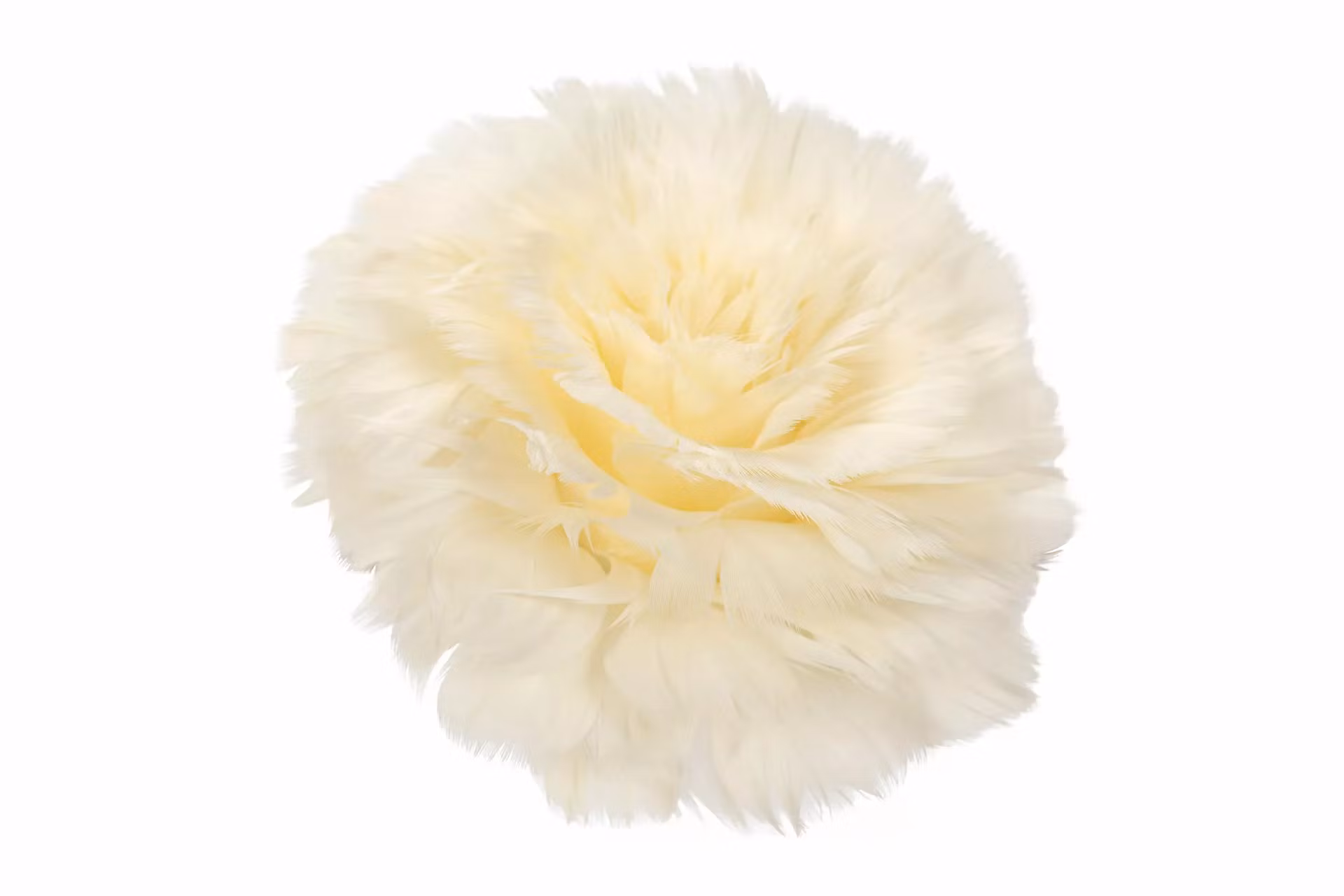 Fjäderblomma med clip - Vanilj