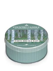 WHITE BIRCH & RAIN