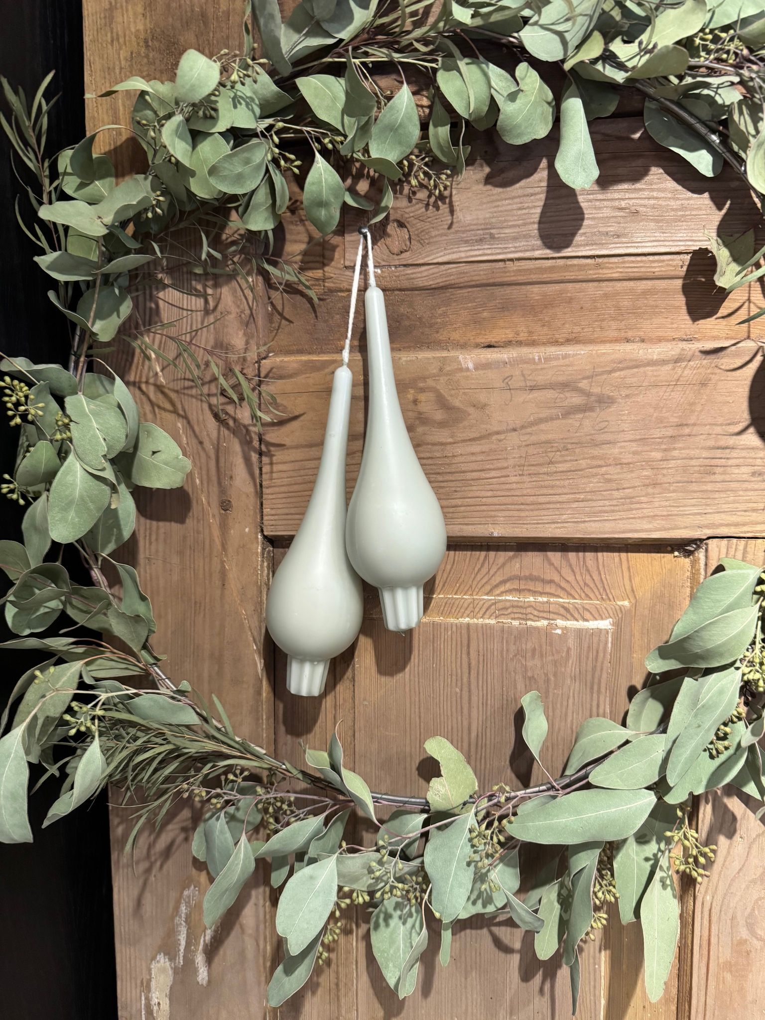 Droppljus, Eucalyptus