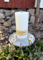 Trädgårdsljus, 20 cm, Vit