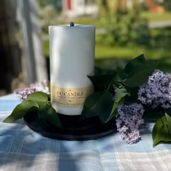 Trädgårdsljus, 20 cm, Vit