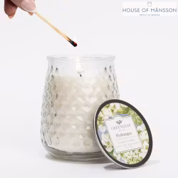 Greenleaf Doftljus Hydrangea