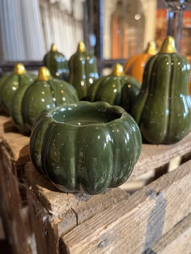 pumpa ljustake