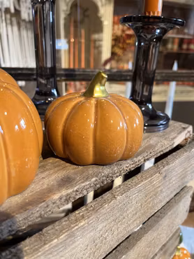 Pumpa Ockra