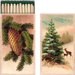 Tändstickor med grankotte