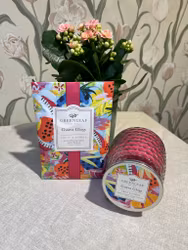 Greenleaf Guava Gloss