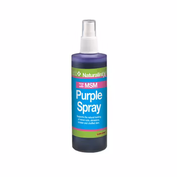 NaturalintX Aloe Vera Lila Spray med MSM, NAF