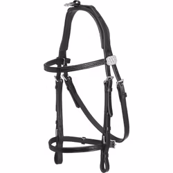 Huvudlag till shettis i läder