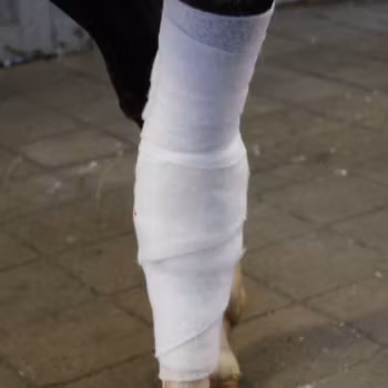Polstervadd 10cm x 3m synt, VetProvide