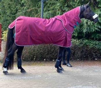 Shires Highlander utetäcke med hals 200g