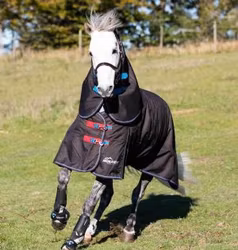 Shires Highlander utetäcke 300g med hals