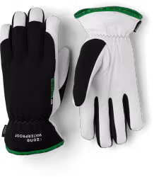 Kobolt CZone, Hestra