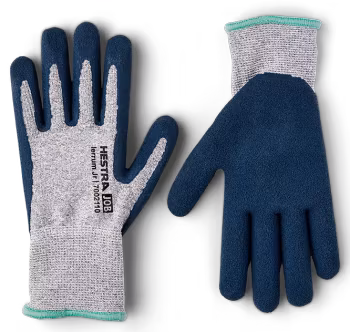 Iterum Junior, Hestra