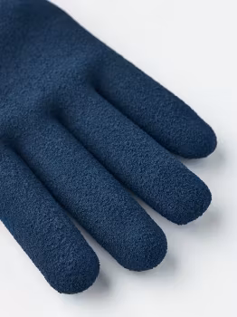 Iterum Junior, Hestra