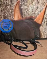 Brösta med glitter till ponny