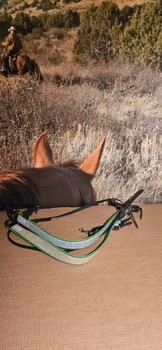 Limegrön Tillbehörskit med glitter till sele, Ponny