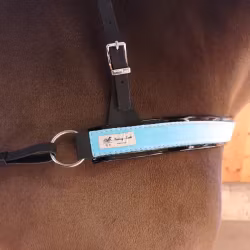 Brösta med glitter till ponny