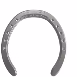 Record Flat Aluminium Fram