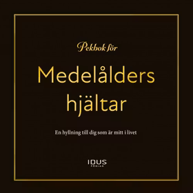 Pekbok för medelålders hjältar